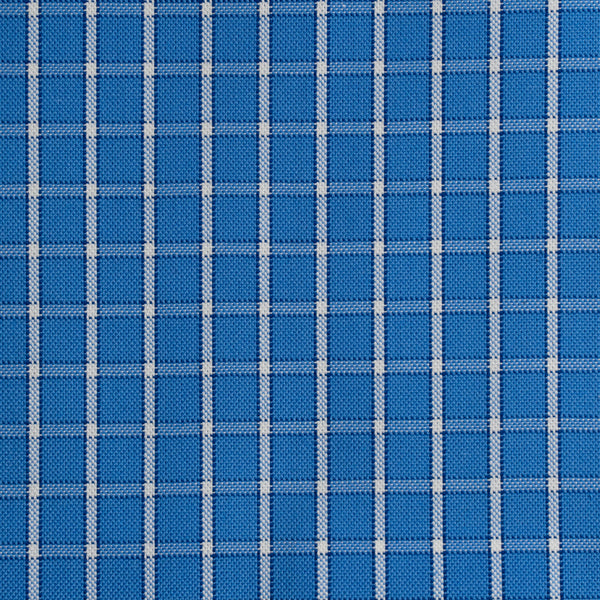 53019